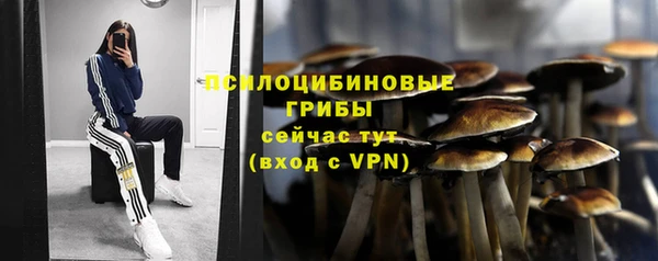 наркотики Алексин