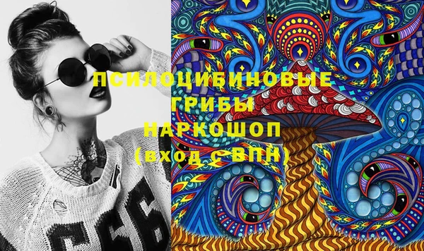 ГАЛЛЮЦИНОГЕННЫЕ ГРИБЫ Алексеевка