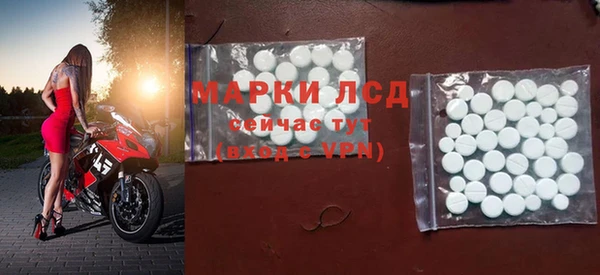 амф Алзамай