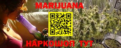 бошки Гатчина
