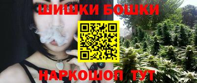 бошки Гатчина