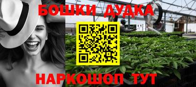 бошки Гатчина