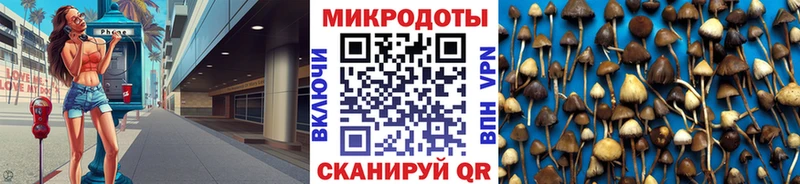 Галлюциногенные грибы Psilocybe  наркотики  Когалым 