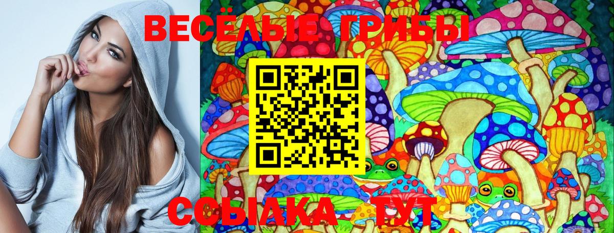 Псилоцибиновые грибы GOLDEN TEACHER Когалым
