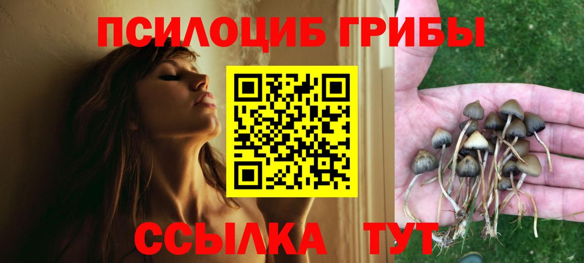 продажа наркотиков  Псилоцибиновые грибы мицелий  Вход с VPN  Когалым 